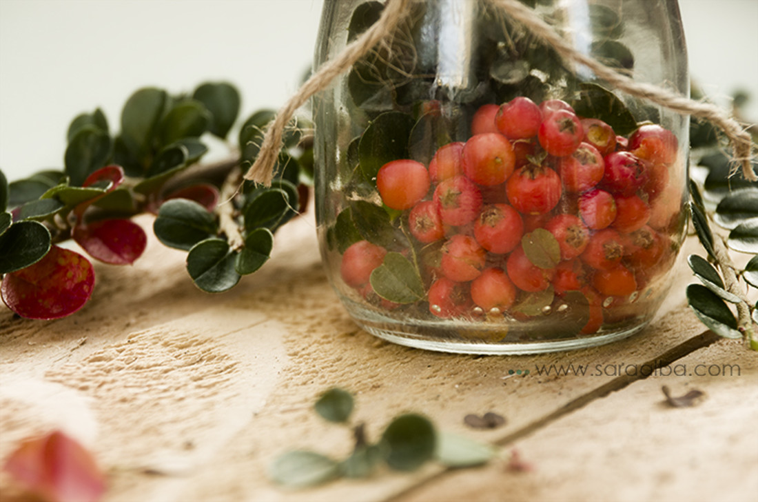 sara-alba-fotografia-fotografo-meco-alcala